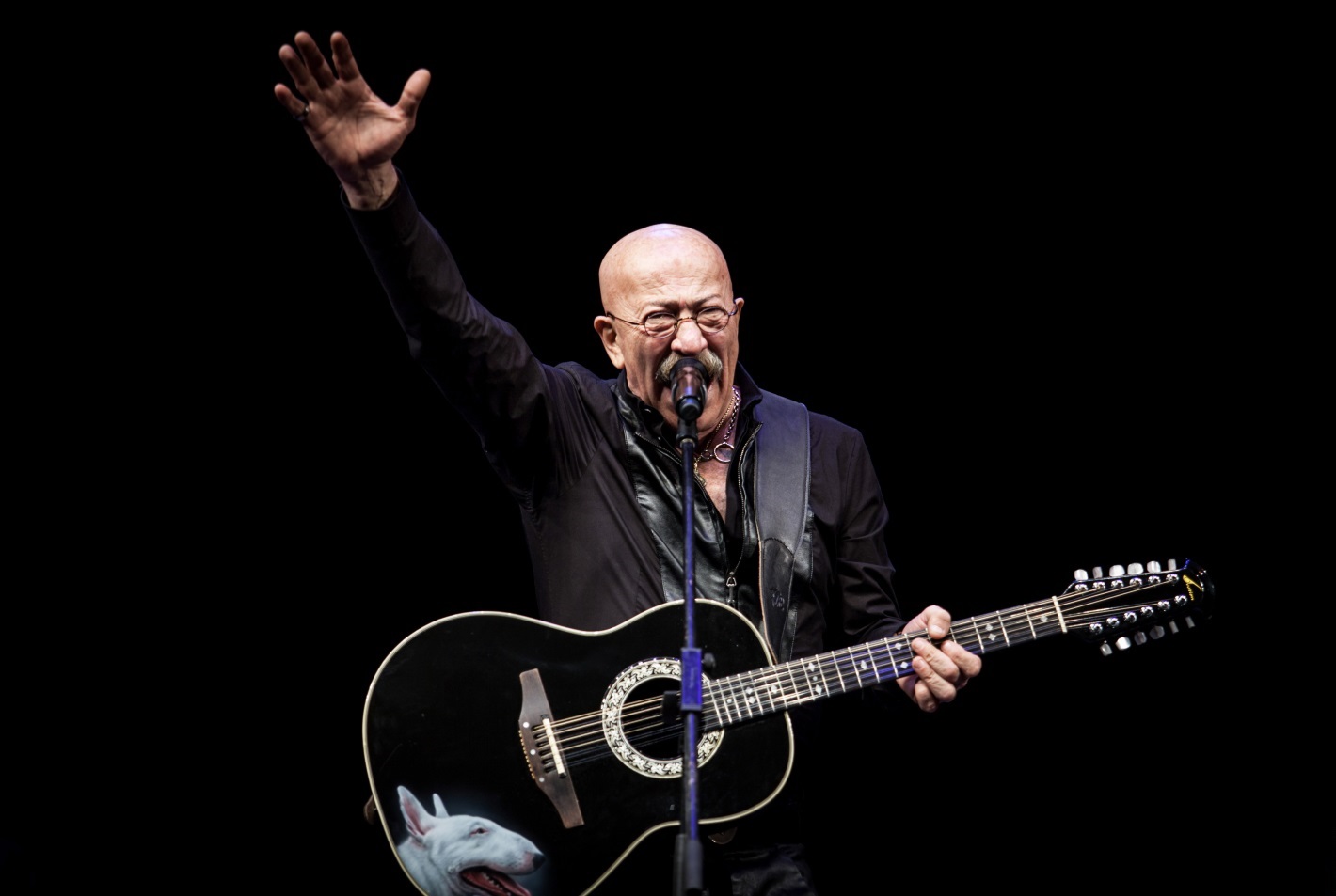 Александр Розенбаум